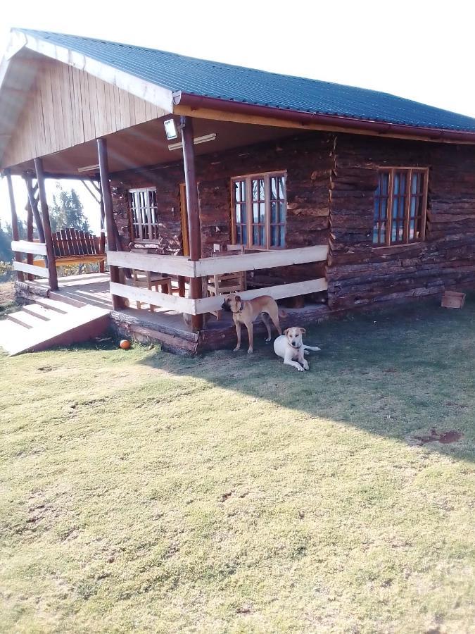 The Wonky House Apartment Timau Exterior photo