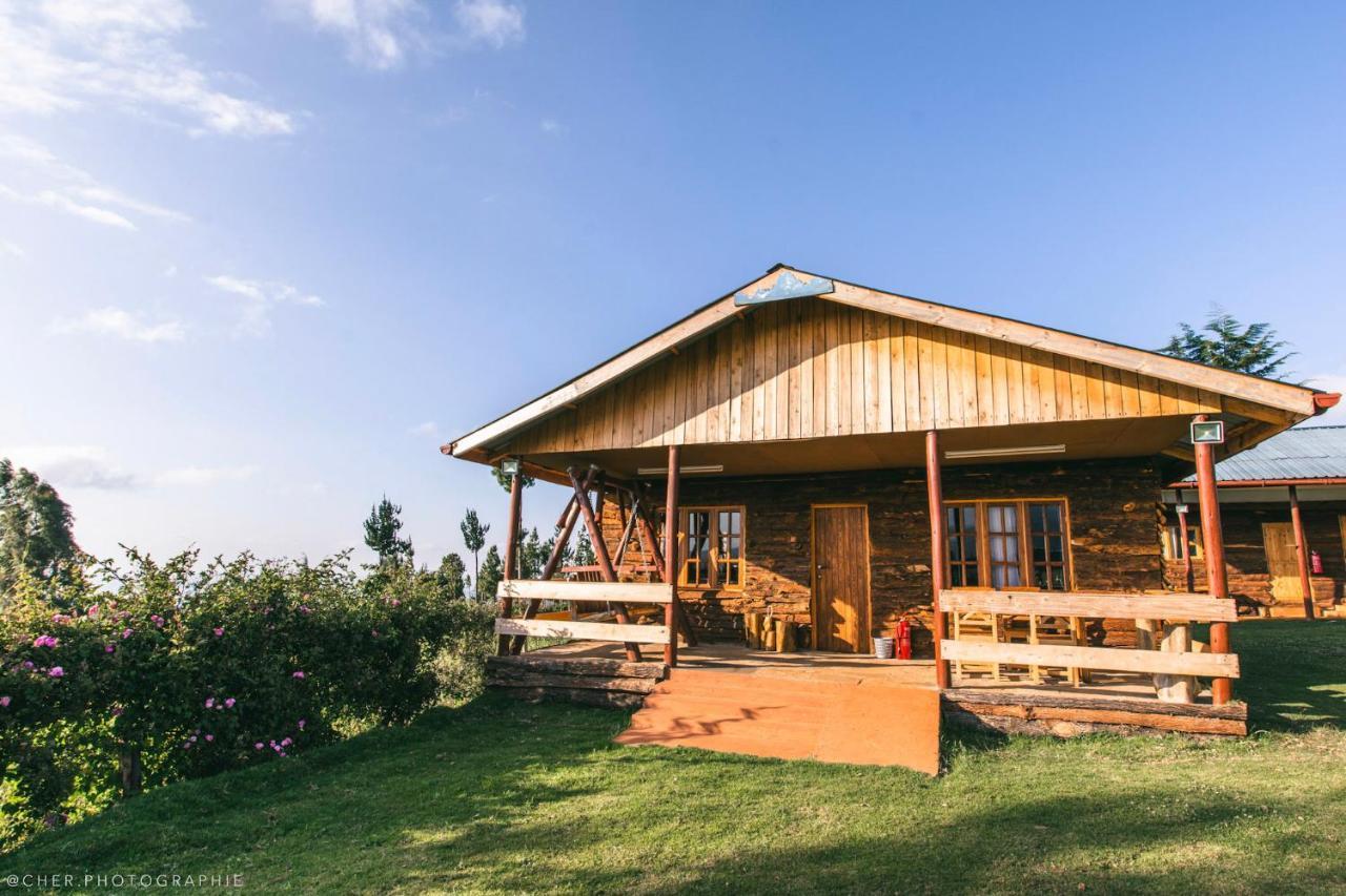 The Wonky House Apartment Timau Exterior photo